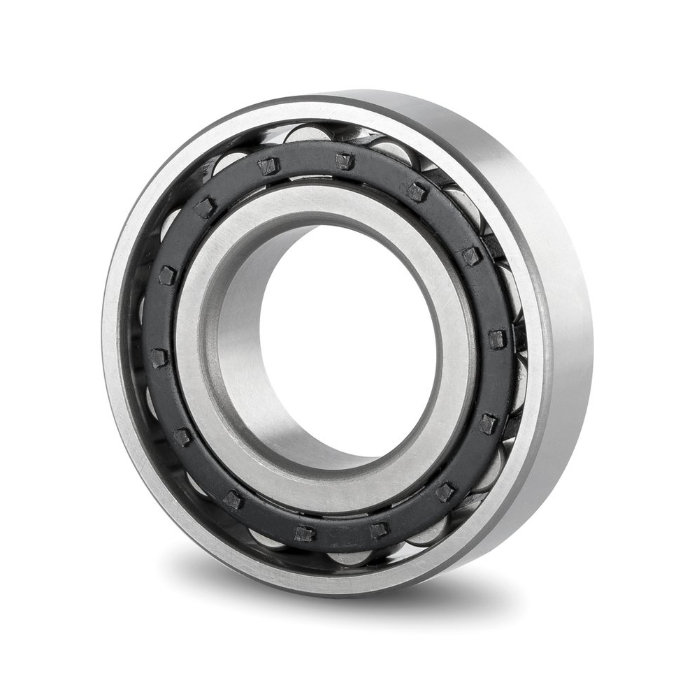 Short Cylindrical Roller Bearings