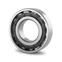 Short Cylindrical Roller Bearings
